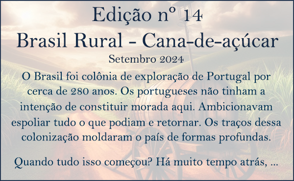 Edição 14 – Brasil Rural – Cana-de-açúcar – Setembro 2024